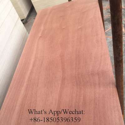 3*7' okoume sapele bintangor faced veneer Door skin plywood door size plywood with good price