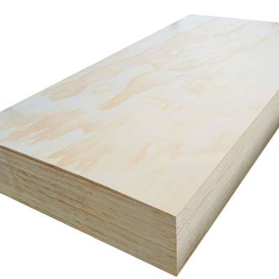 Maple plywood factory/UV surface maple veneered plywood/linyi maple